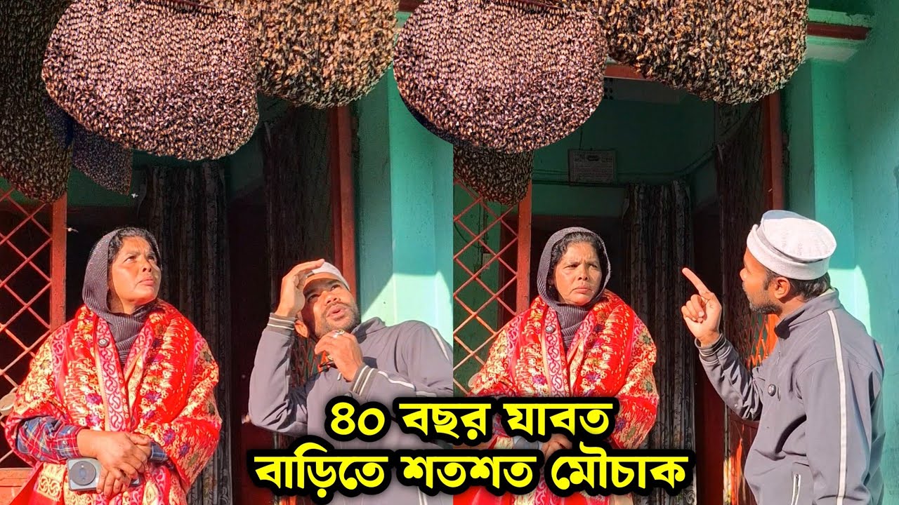 ৪০ বছর যাবত বাড়িতে শত শত মৌচাক, মৌমাছির সাথে সংসার | Travel Vlog #trending #entertainment #beehive
