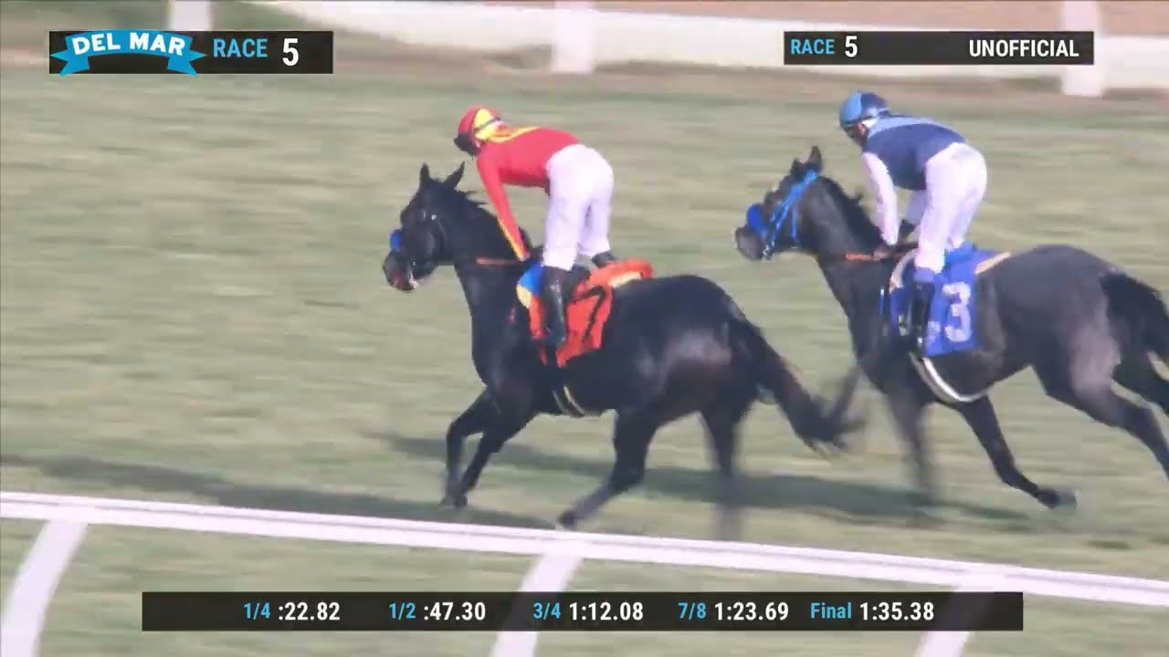 Speed Boat Beach wins Cecil B. Demille Stakes (Gr.III) race 5 at Del Mar 12/4/22