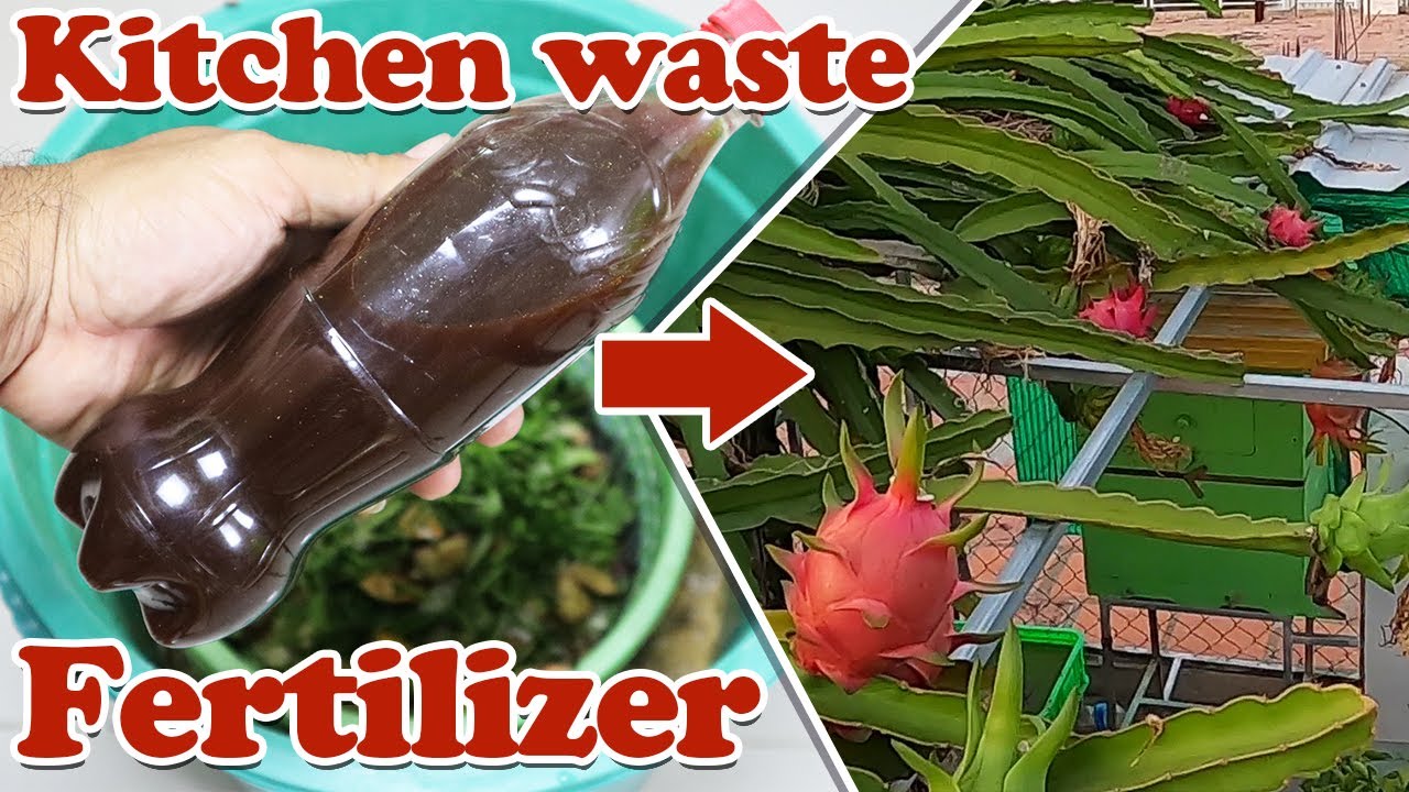 How to make liquid fertilizer from kitchen waste | organic liquid fertilizer for all plants