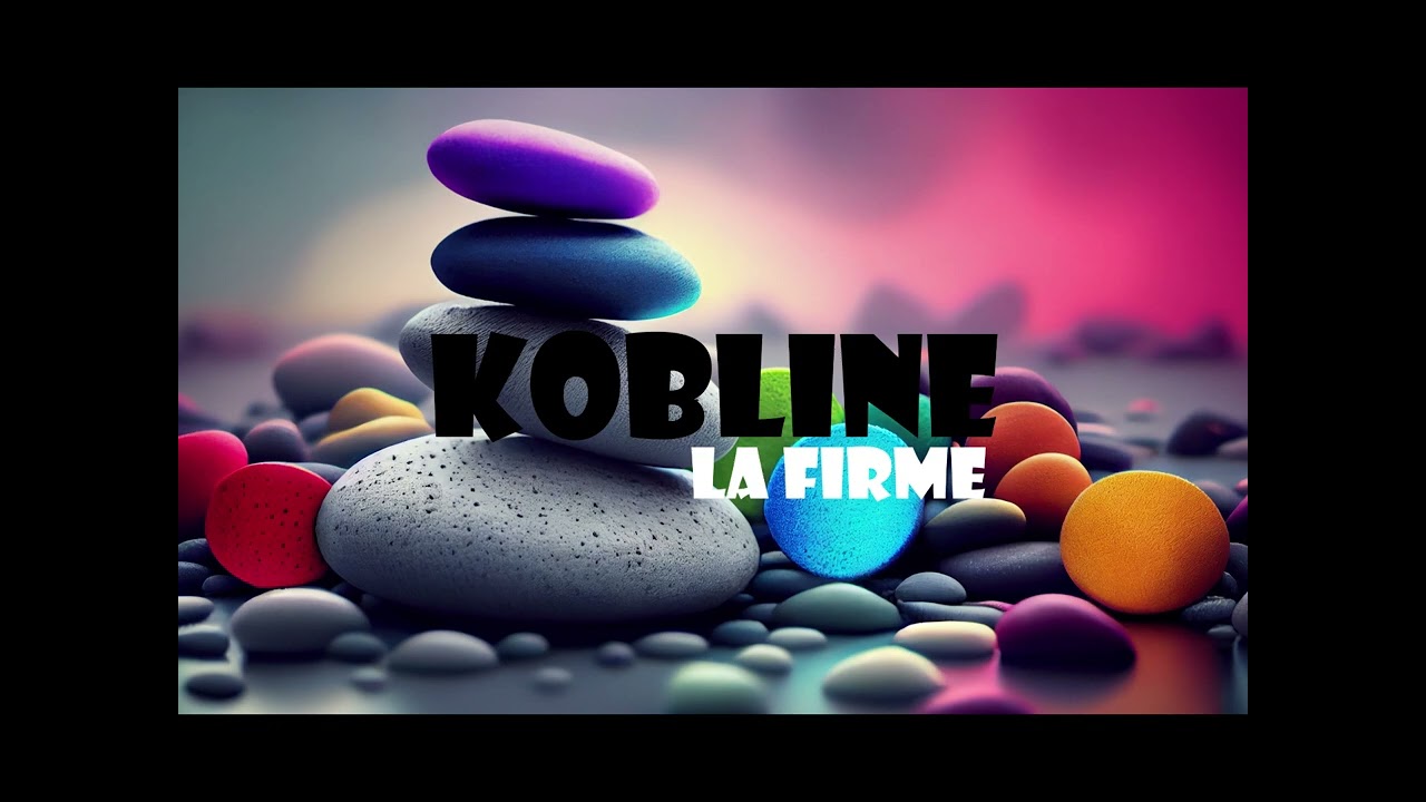KOBLINE (la firme) 2009