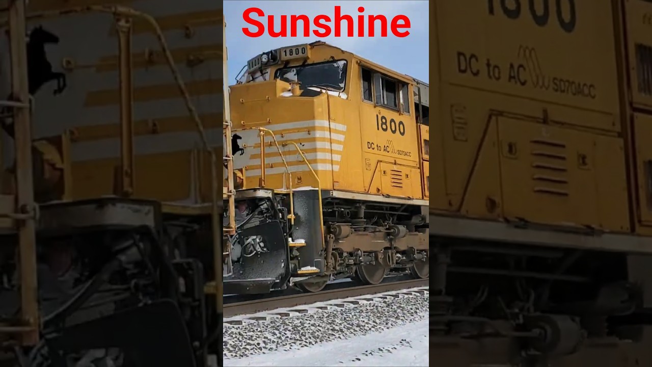 Norfolk Southern's Yellow Sonic Bonnet, DC to AC Conversion Locomotive!!!