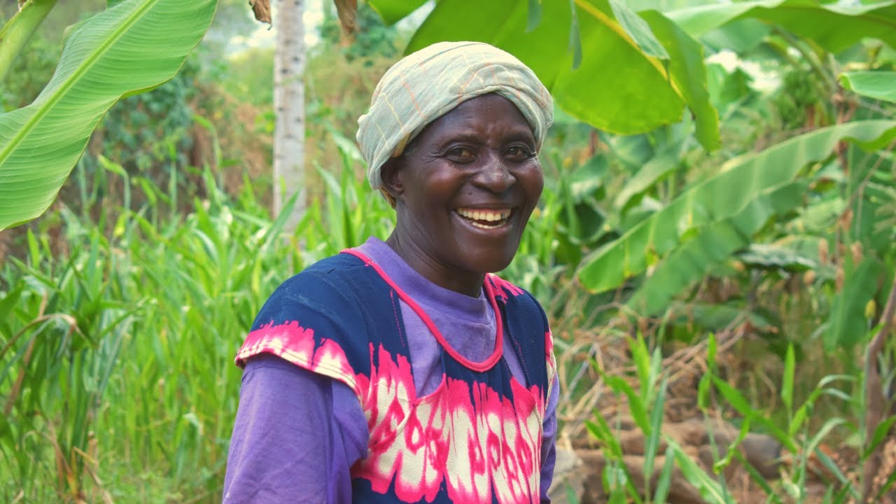 Grass Farming Plants Resilience in Rural Kenya