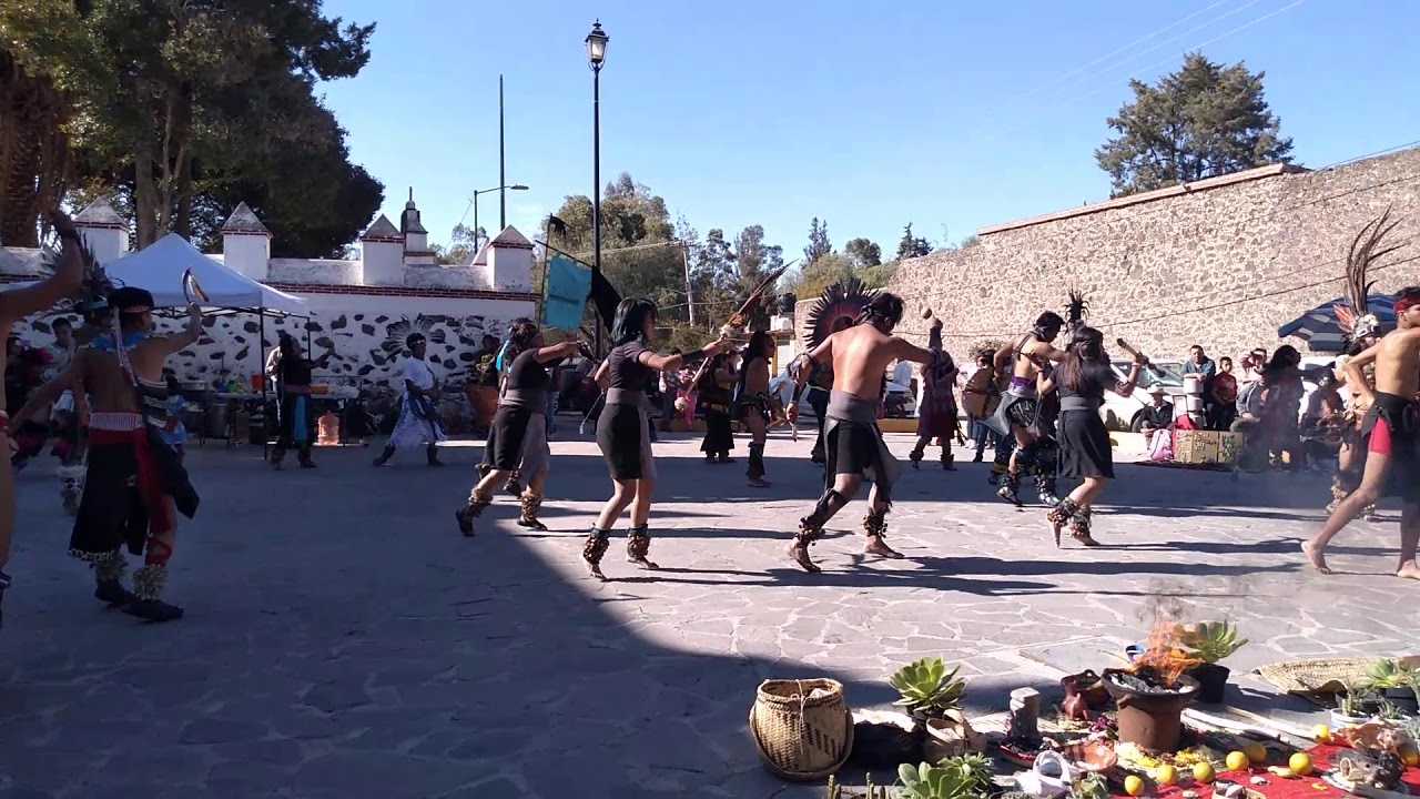 Danza itzcuintli