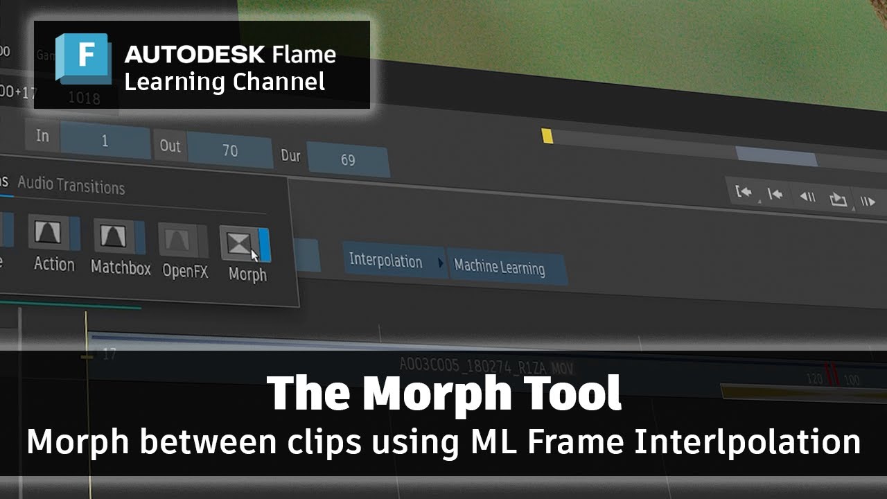 Machine Learning Morph - Flame 2025.2