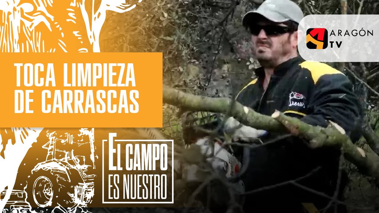 Toca limpieza de carrascas