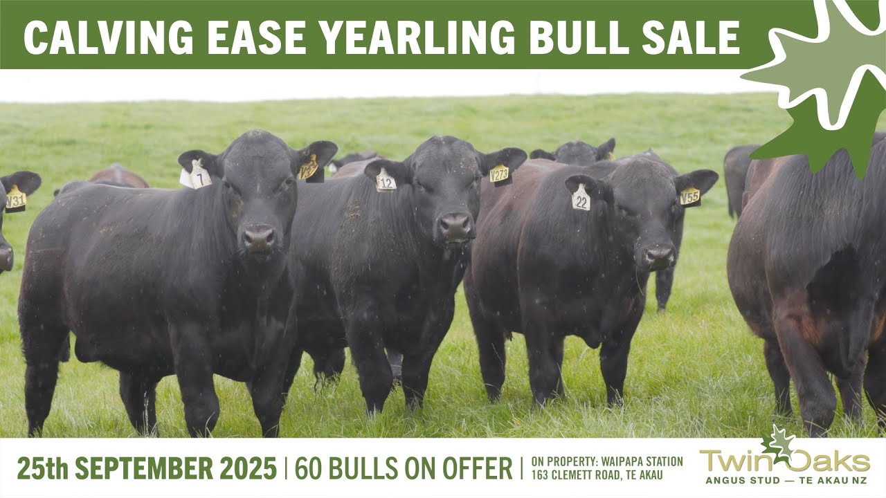TWIN OAKS - 2025 YEARLING PRESALE