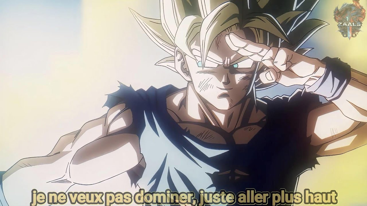 Songoku guerrier au coeur pur