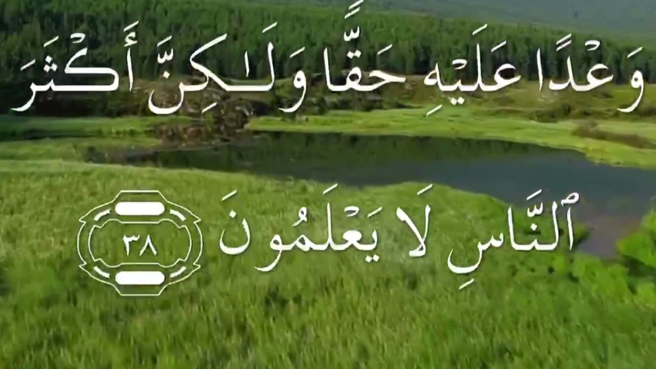 سورة النحل صفحة ٢٧١ سعد الغامدي مكتوبة مكررة