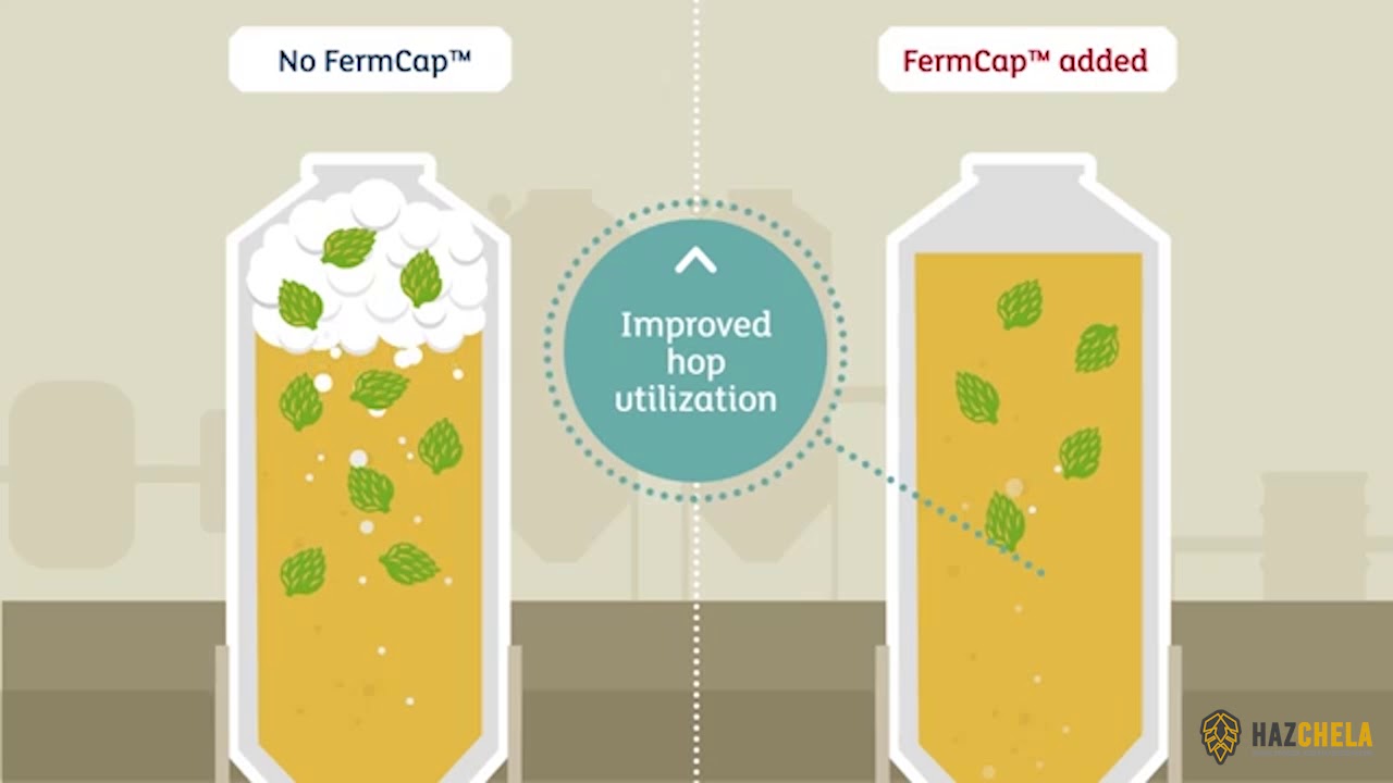 FERMCAP