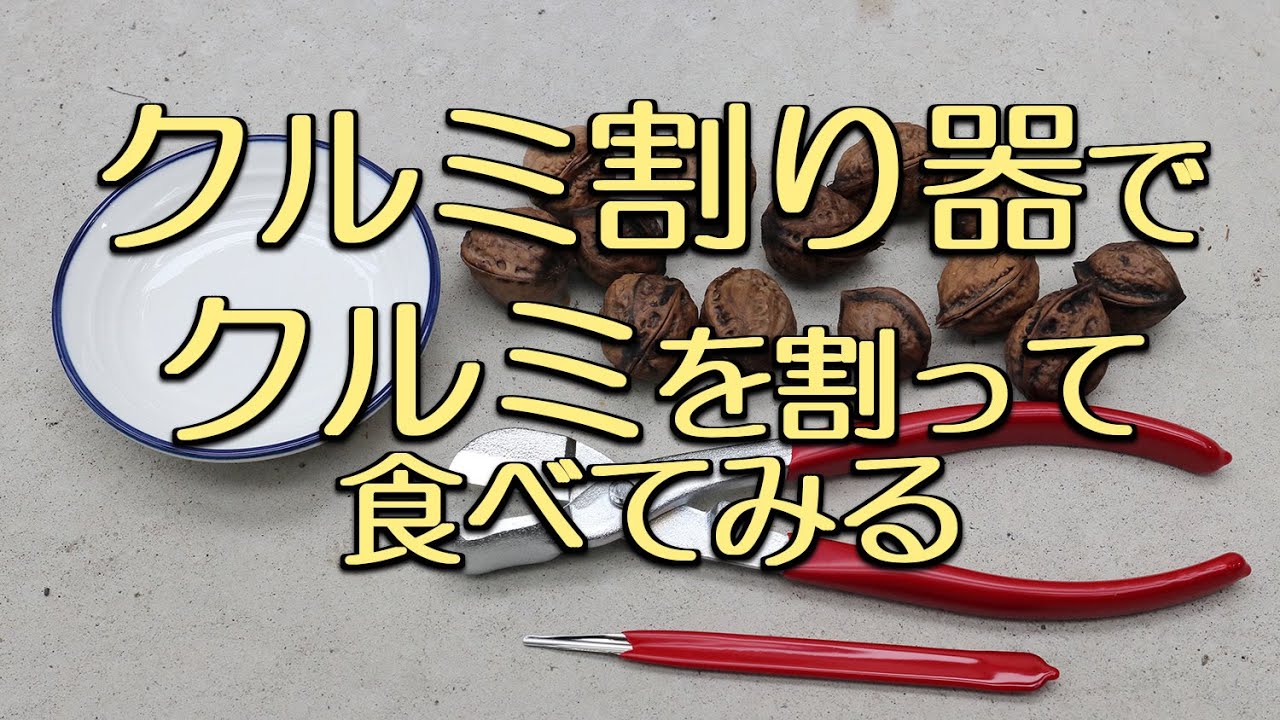 クルミ割り器でクルミを割って食べてみる