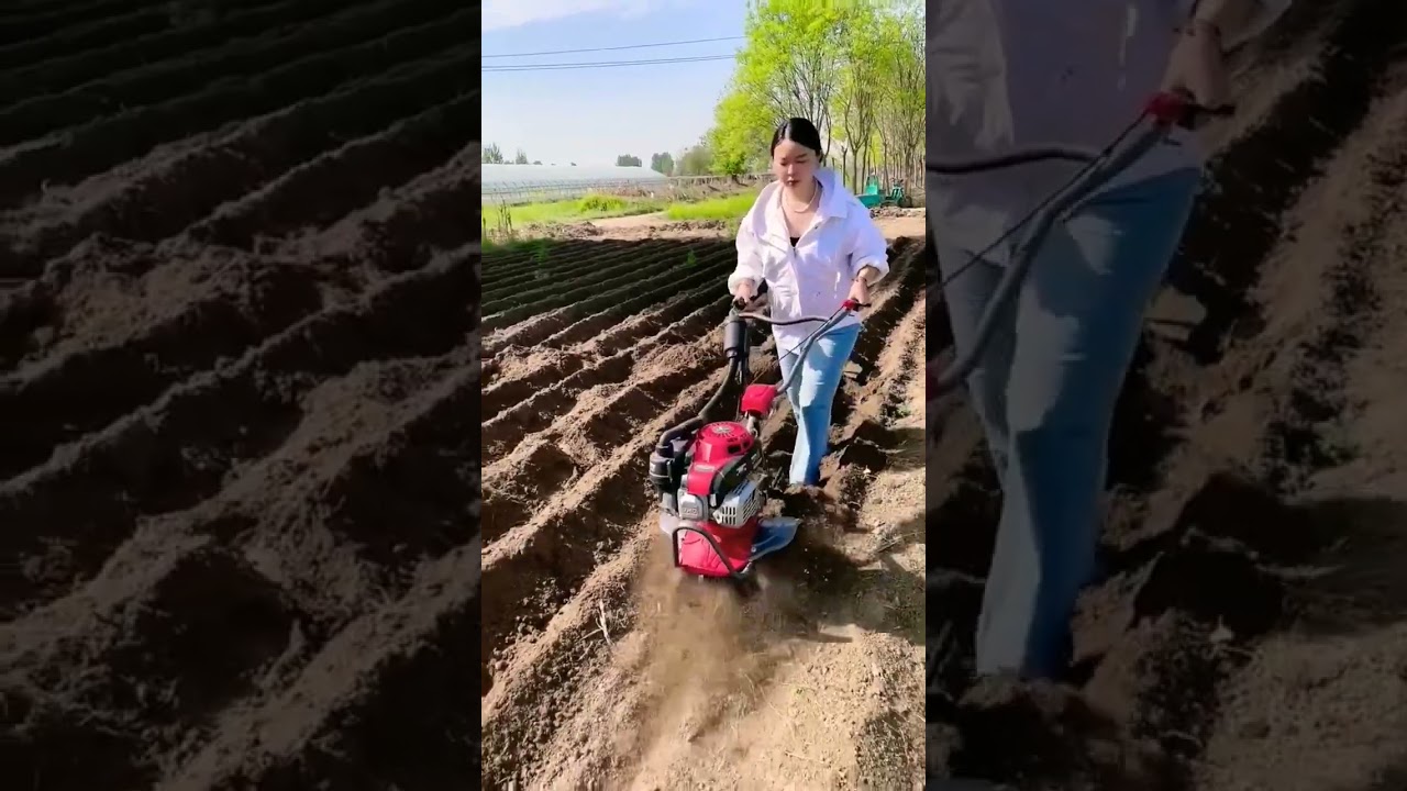 #Multi-function micro-tillage machine #Zongshen power micro-tillage machine #Gasoline weeder #Land