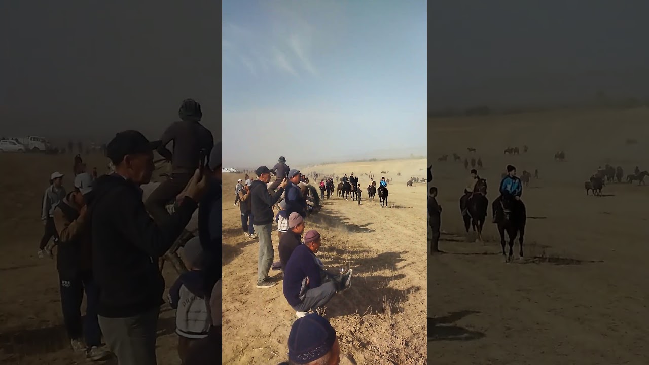 3 ноября 2025 г.