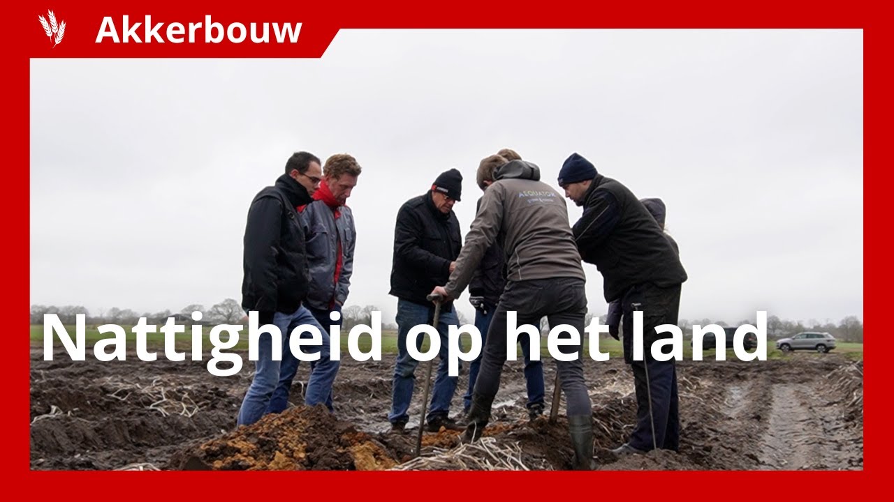 Akkerbouwers over nattigheid op het land