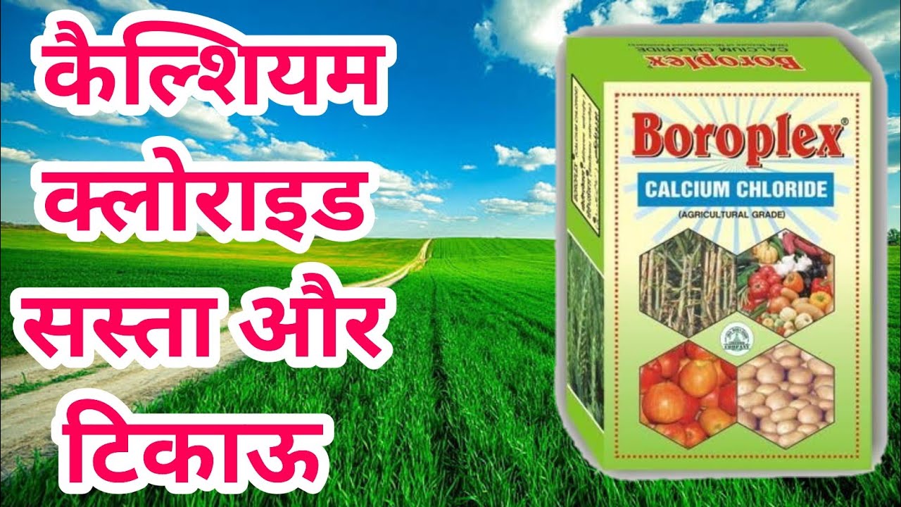 कैल्शियम क्लोराइड ।। Calcium Chloride ।। फसलों में कैल्शियम क्लोराइड का महत्व ।। Calcium Benefits