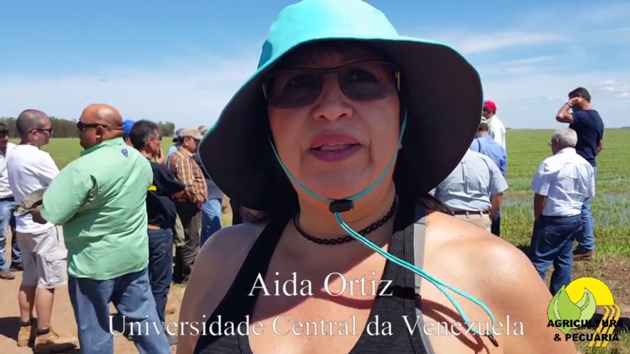 A&iacute;da Ortiz