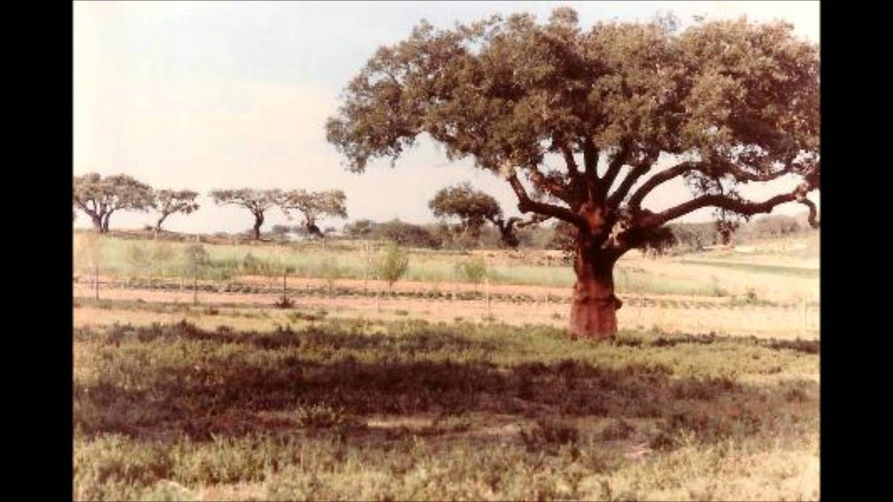 É tão grande o Alentejo
