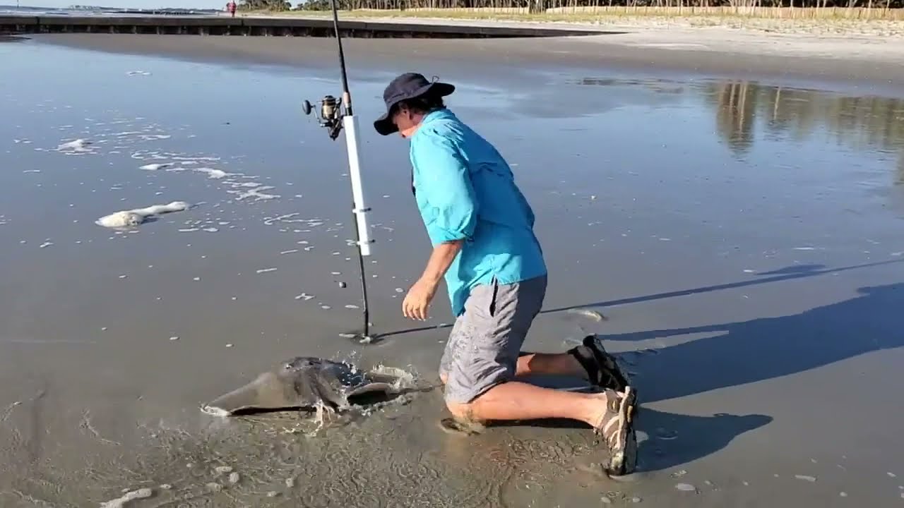 Smooth Butterfly Ray