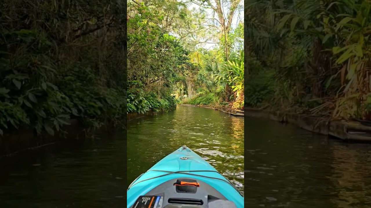 BEST Kayaking in Florida- Winter Park Chain of Lakes