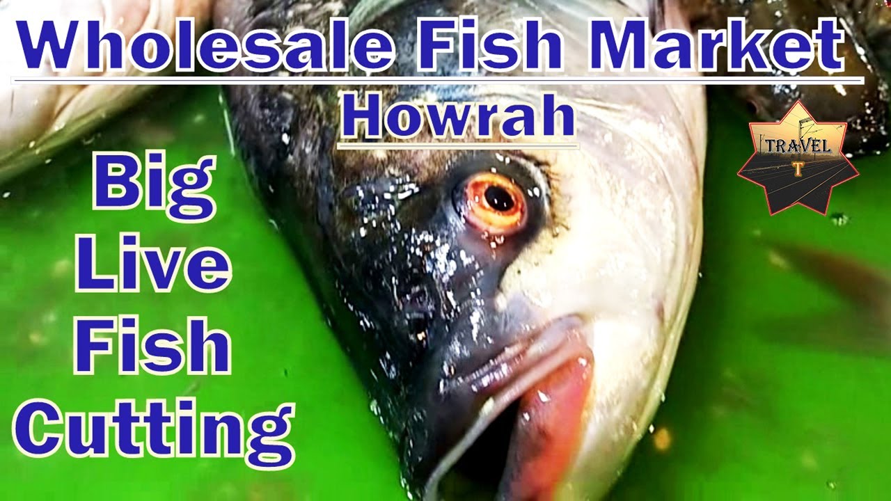Kolkata Wholesale Fish Market / Howrah / Kolkata Macher Bazar/ Wholesale market Kolkata