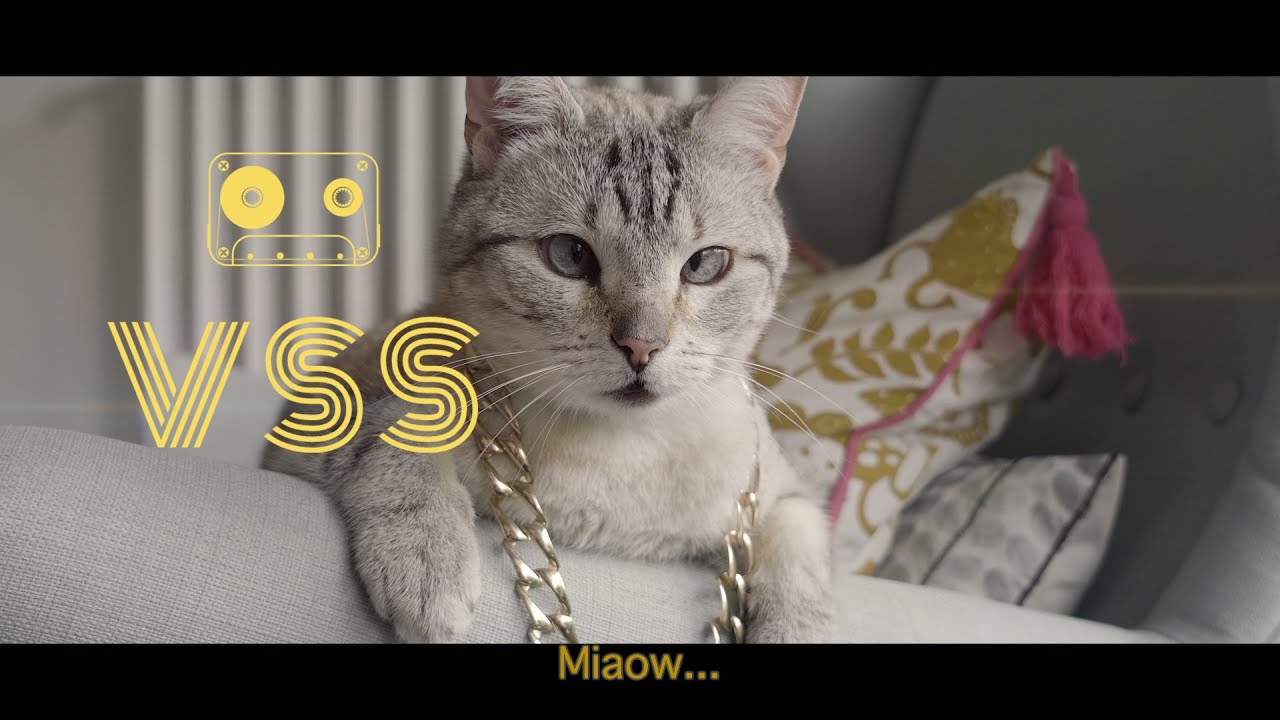 VSS - Miaow (feat.M4) #confinement #restecheztoi