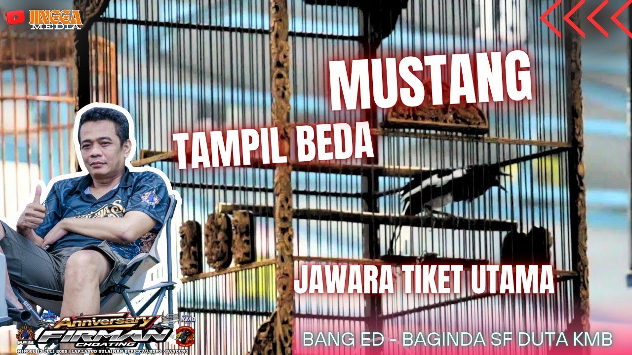 KACER MUSTANG |JAWARA TIKET UTAMA | MAKIN NGERI DENGAN TAMPILAN BARUNYA .