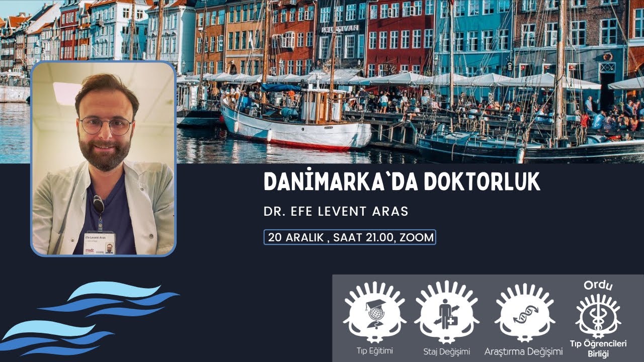 Danimarka'da Doktorluk