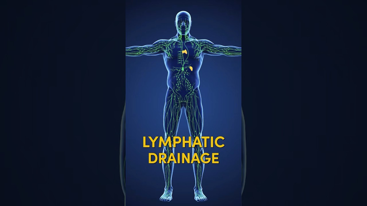 3 Best Foods for Lymphatic Drainage #shorts