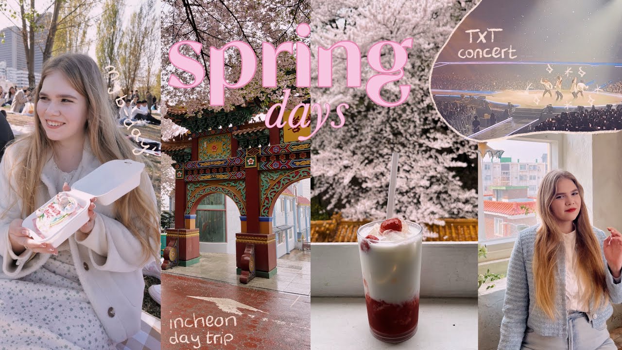 korea vlog 🌸 txt concert, cherry blossoms, birthday picnic and incheon day trip