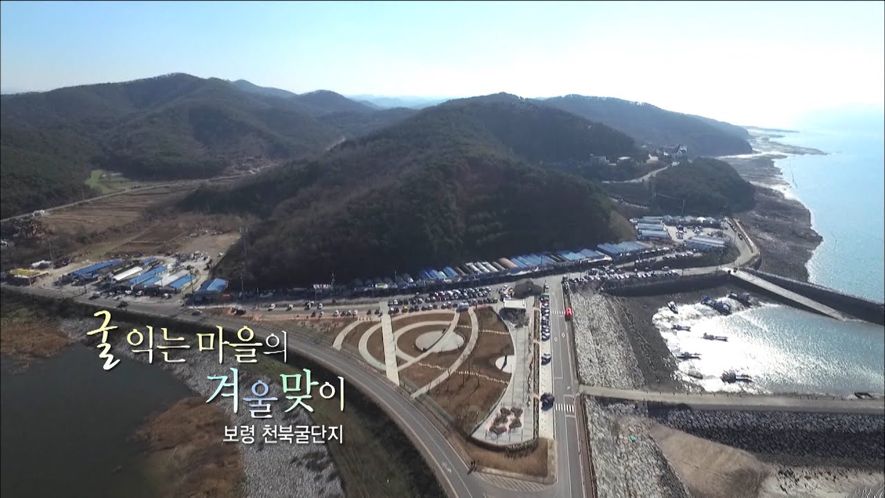 [다큐3일]'굴익는 마을의 겨울맞이' 보령 천북굴단지편 / KBS 201601218 방송