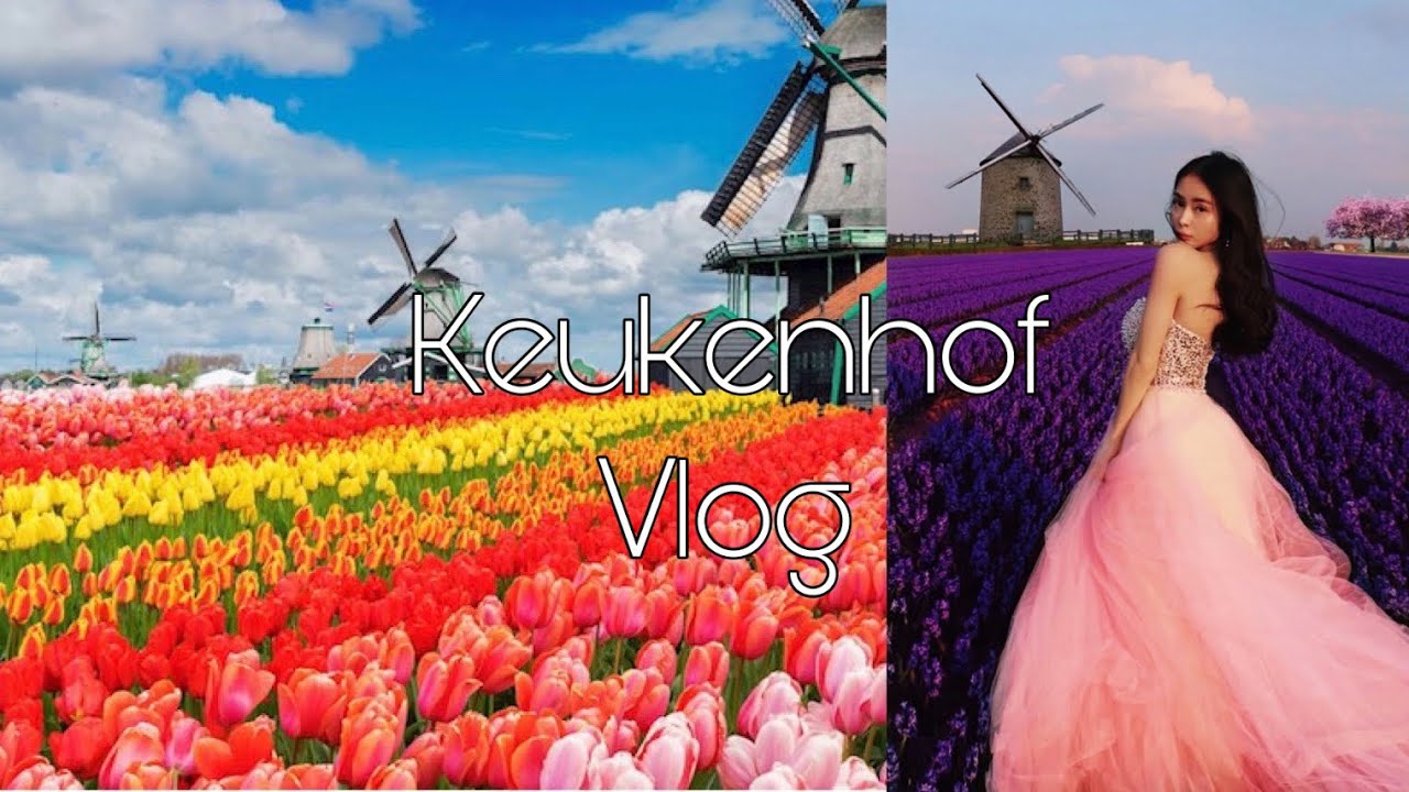 KEUKENHOF-Gr&ouml;&szlig;ter Blumenpark der Welt