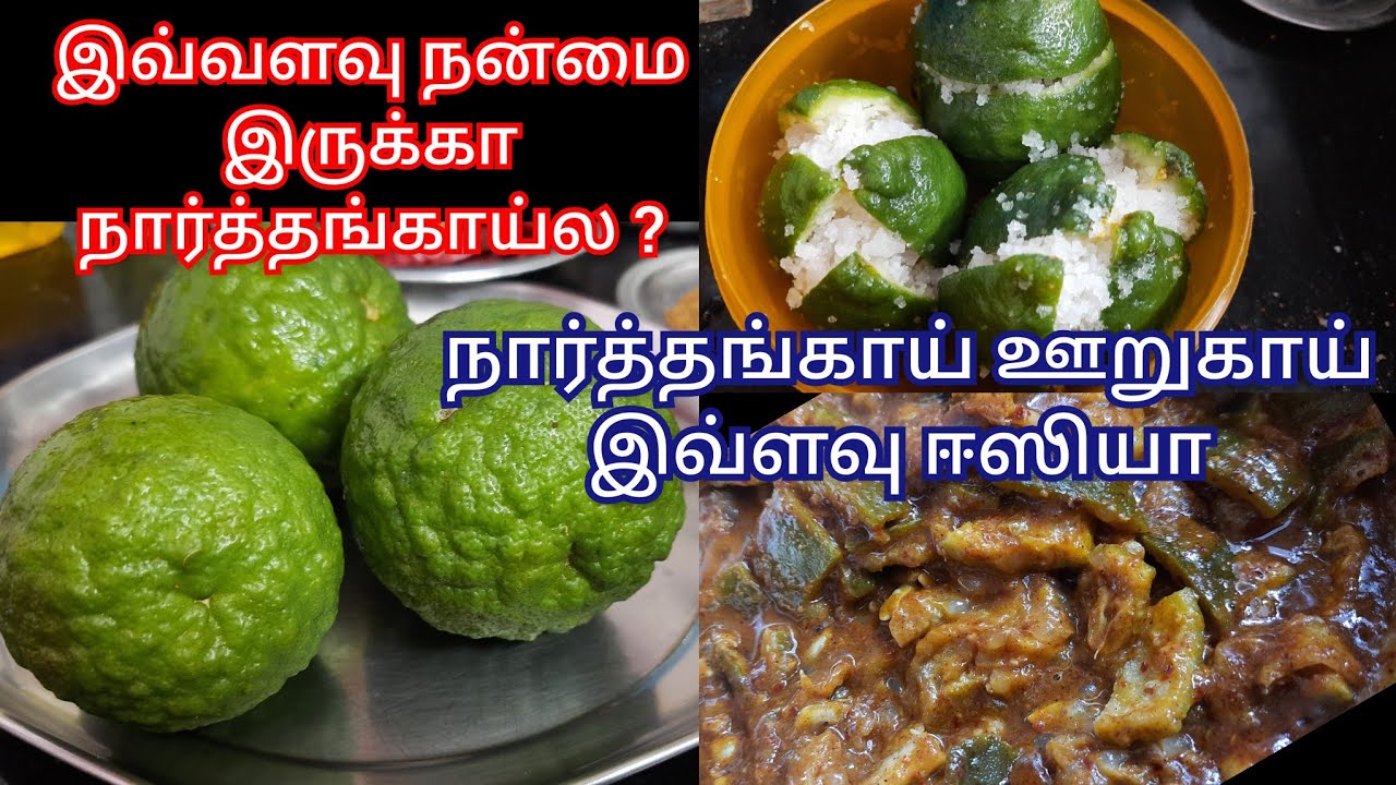 நார்த்தங்காய் #narthangai #oorukai #benefits #in #tamil #how to #pickle #recipe #amma #samayal
