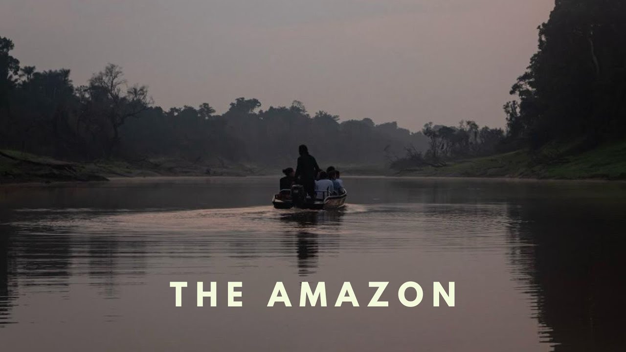 the amazon rainforest, seven days exploring the rio negro