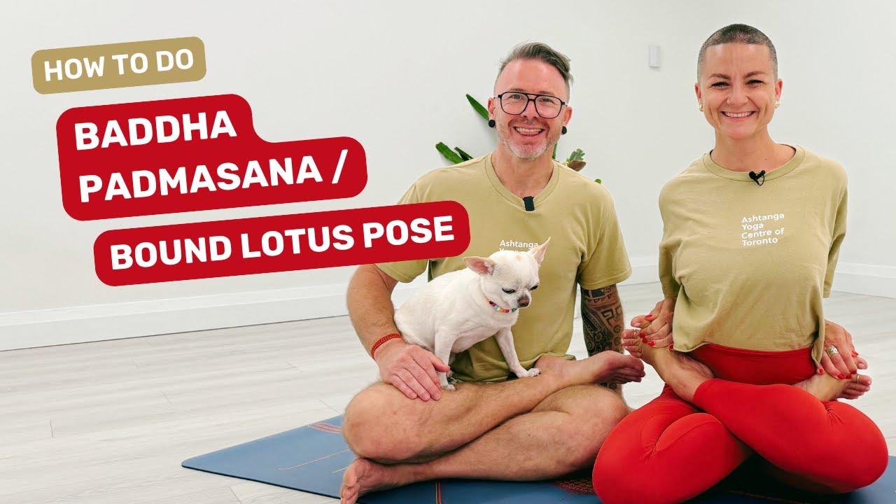How to do Baddha Padmasana | Bound Lotus Pose in Ashtanga Yoga