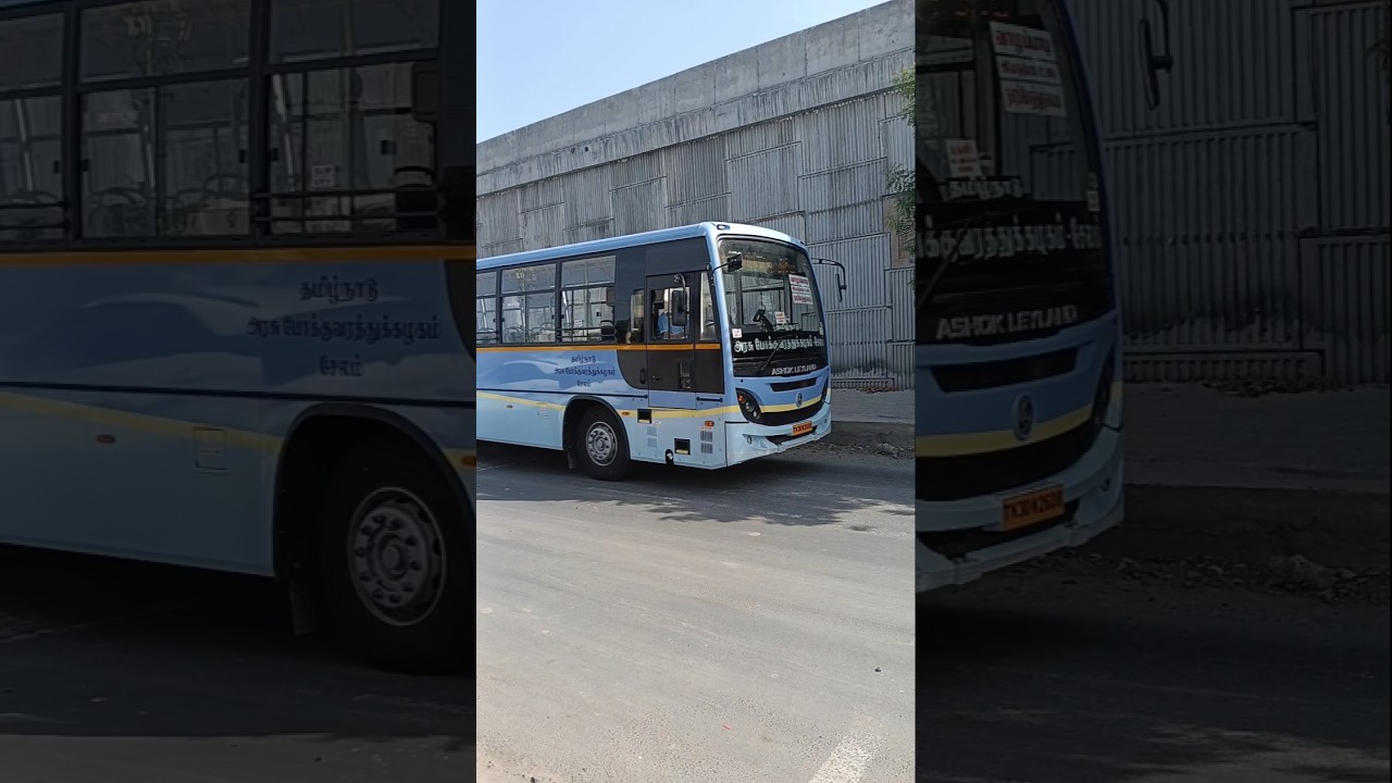 💙 TNSTC NEW 👑 BS6 ASHOK LEYLAND GOVERNMENT BUS 🚩LAUCH OGR LOOK #buslove #tnstcbus #busphotography