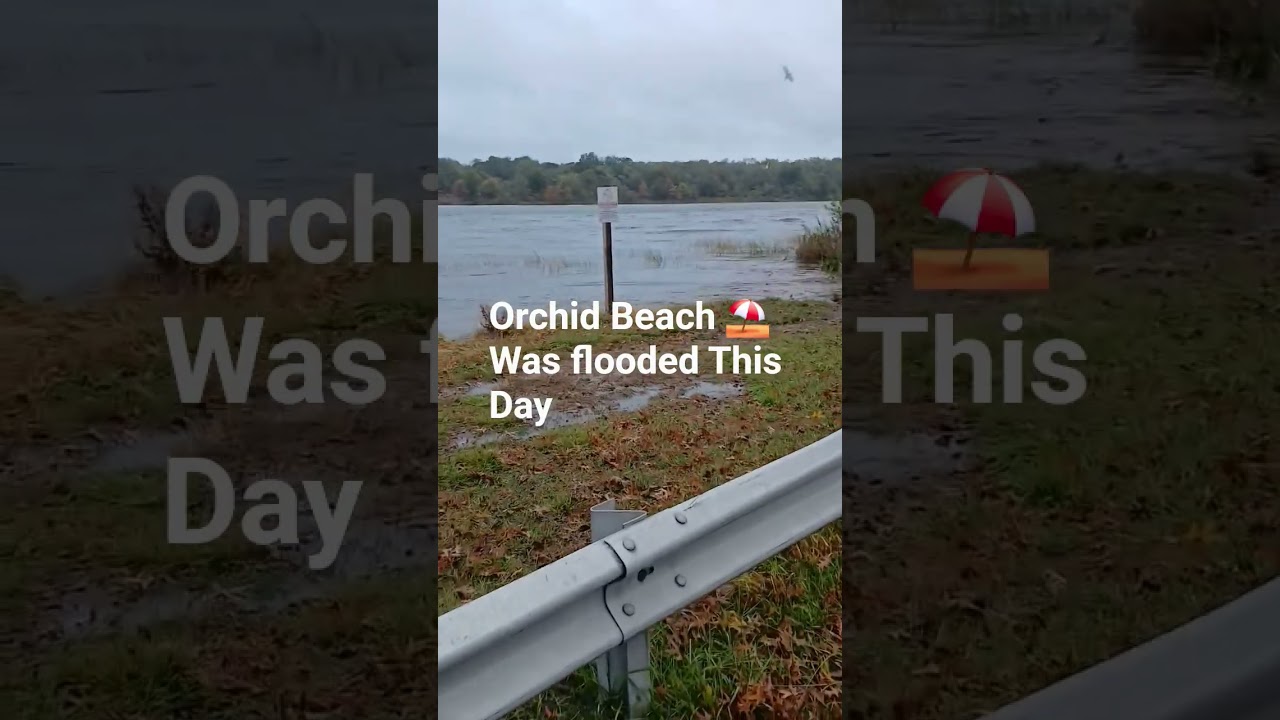 Orchid Beach ⛱️ flooded 💦 