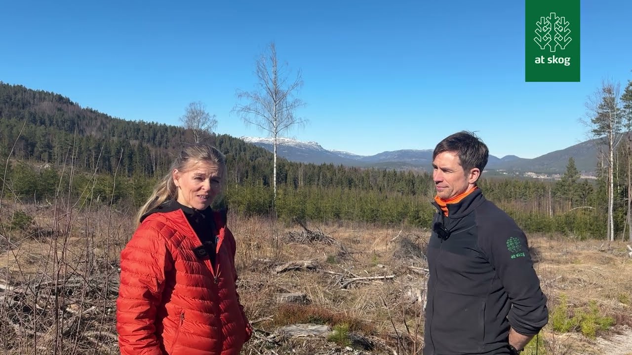 AT Studio: Økt skogproduksjon – hvorfor og hvordan