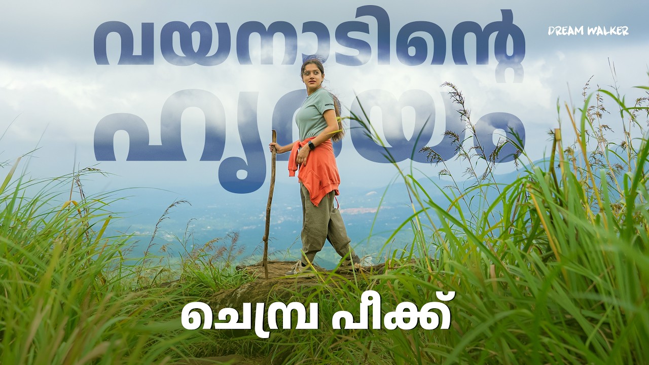 വയനാടിന്റെ ഹൃദയം | Chembra Peak Trek |  Wayanad Travel Vlog | Dream Walker #keralatourism