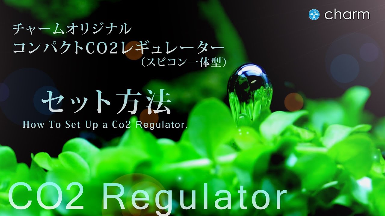 【チャーム】 チャームオリジナルCO2フルセットで水草を育成