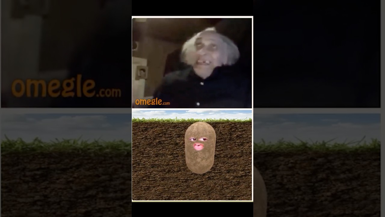 Out of context potato 😂 #zebkii #potato #funny #comedy