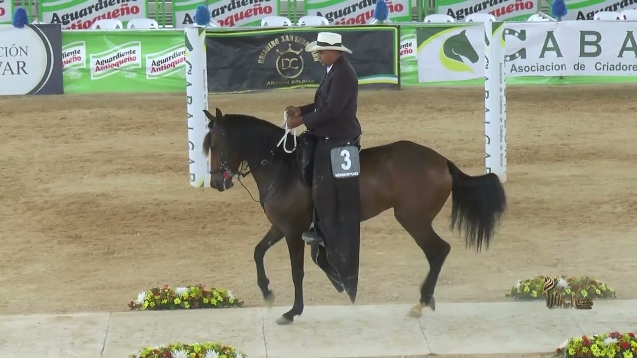 DULCE MELODIA DE LA CANDELARIA, PRIMER PUESTO YEGUAS DE 48 A 60 MESES P4 EXPO ARJONA GRADO B 2026
