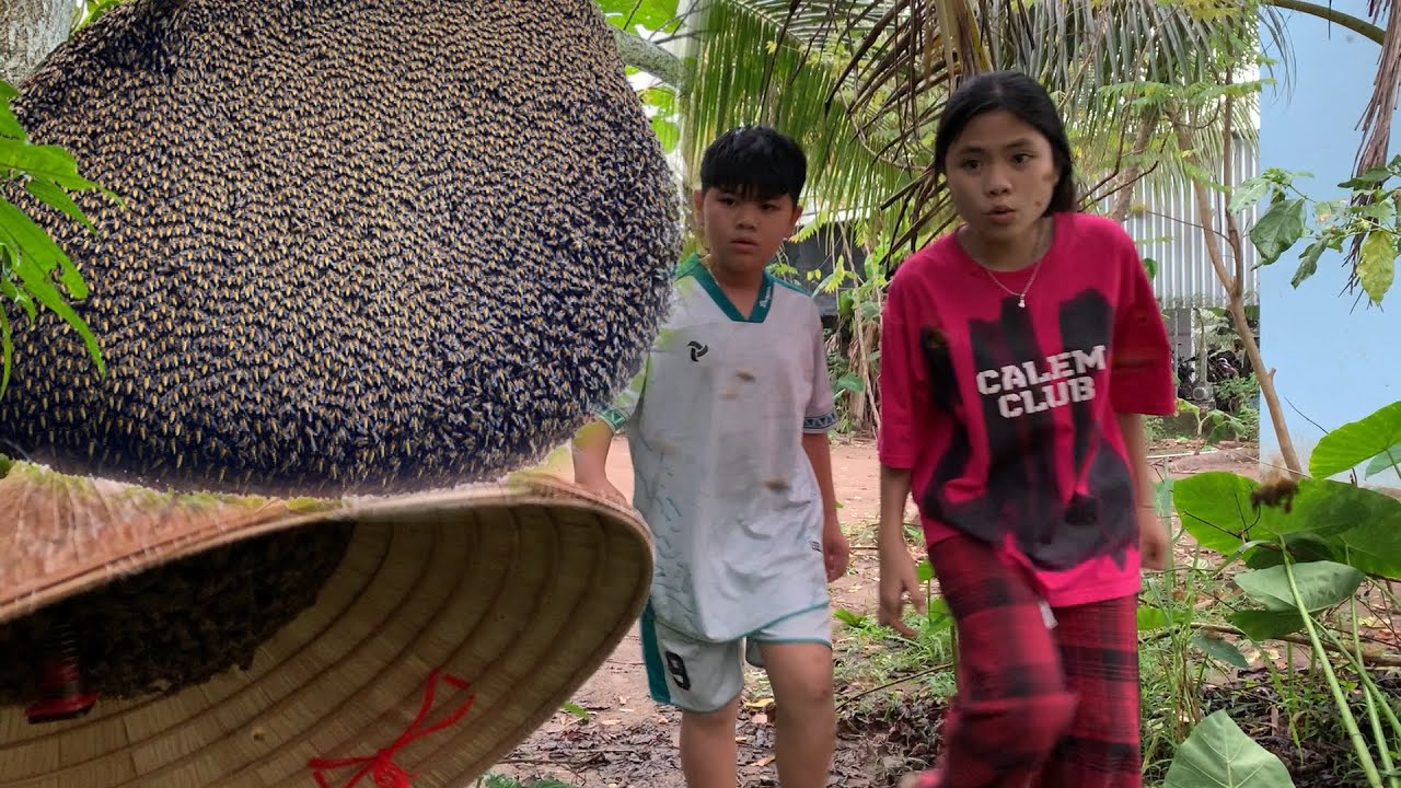 Vlog#1 - Trang và Vinh lần đầu theo anh 6 bắt ong || NHH TV
