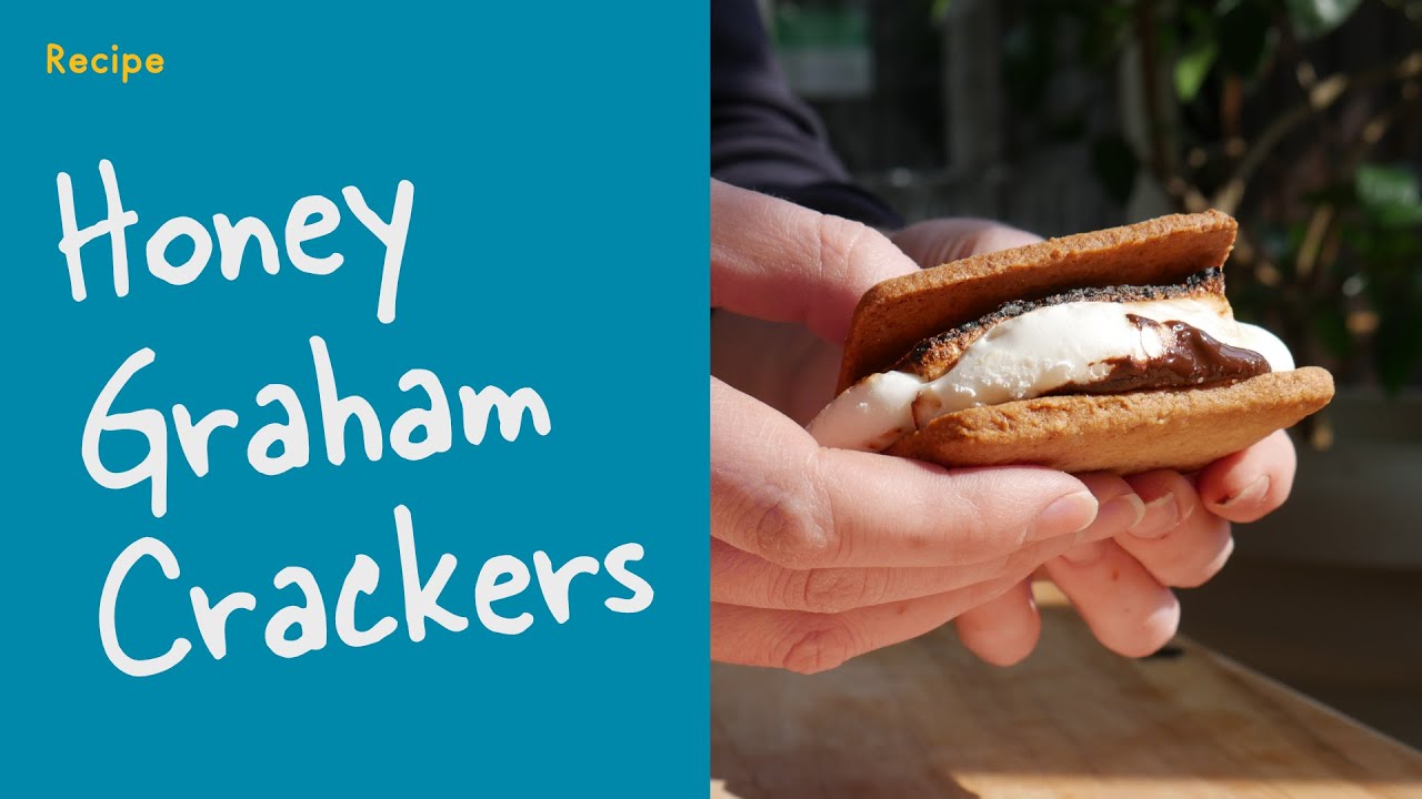 Recipe | Honey Graham Crackers | Growing Chefs! at Home