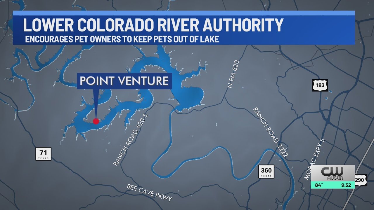 LCRA says dog reportedly died after Lake Travis swim