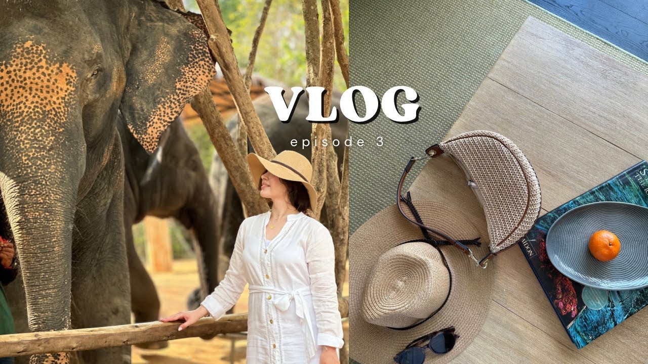 سفر به بزرگ‌ترین جزیره‌ی تایلند، پوکت 🏝️🐘