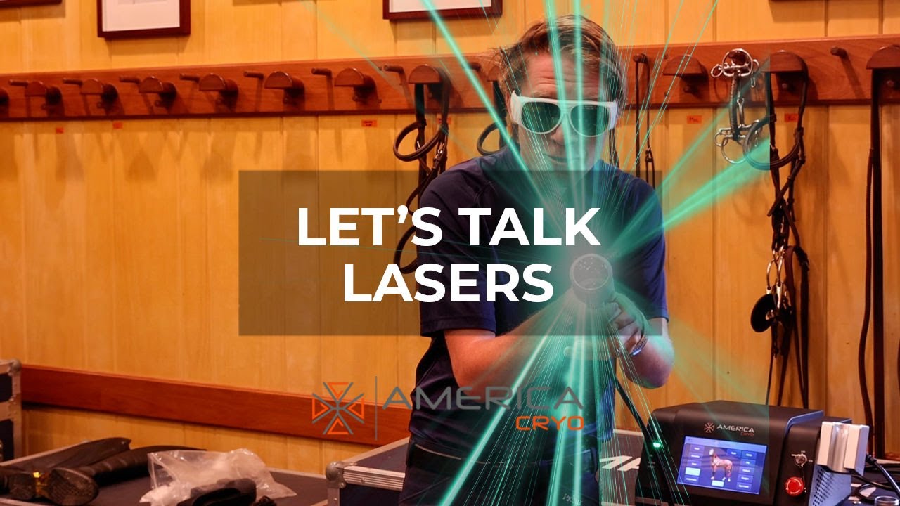 Unlocking the Power of Laser Therapy for Horses in Equestrian Care