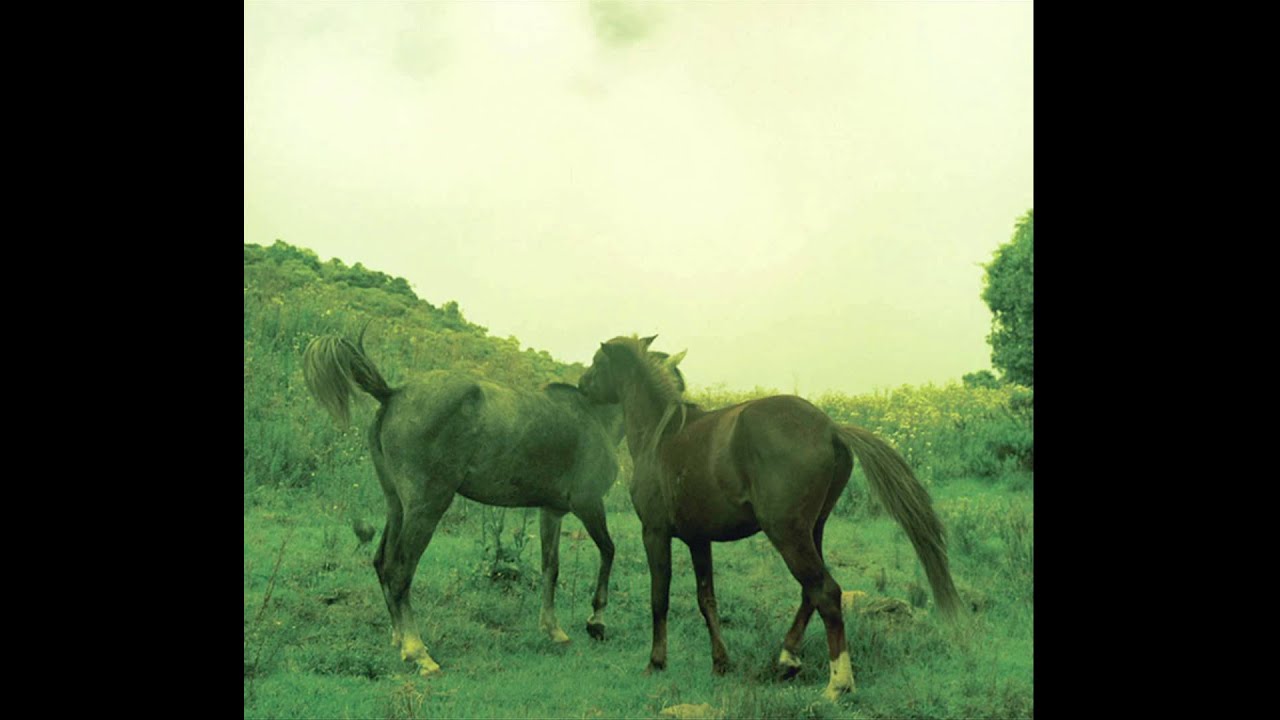Marcelo Camelo - Santa Chuva