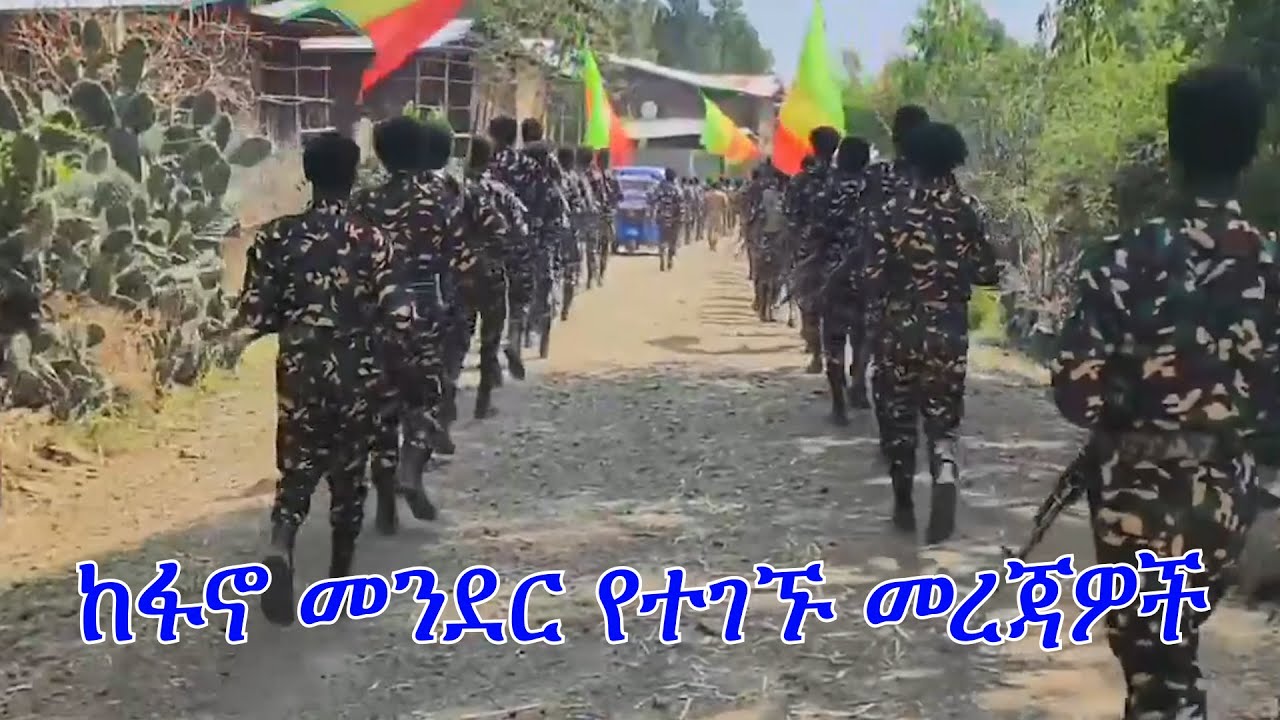 Anchor Fano news Jan 25 ከፋኖ መንደር የተገኙ መረጃዎች