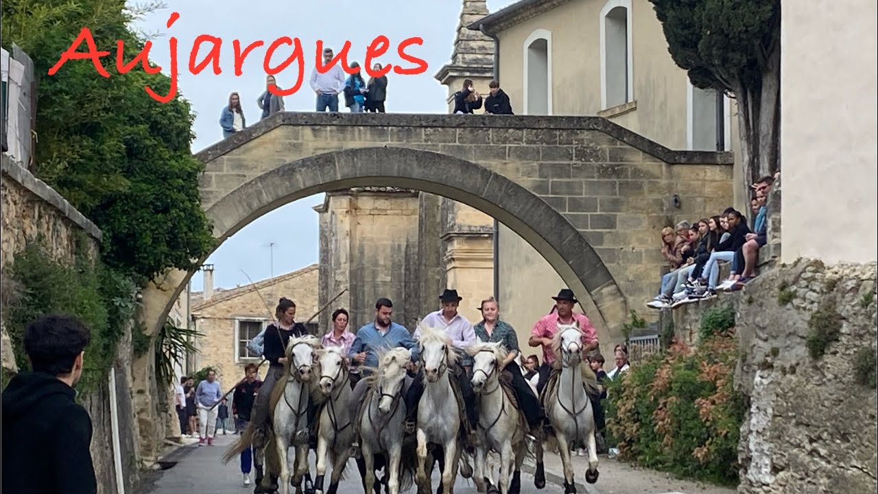 Bandido ➡️ Aujargues 🇫🇷 le 06/04/2024 taureaux de la manade Chaballier 👌#aficionados #gardians