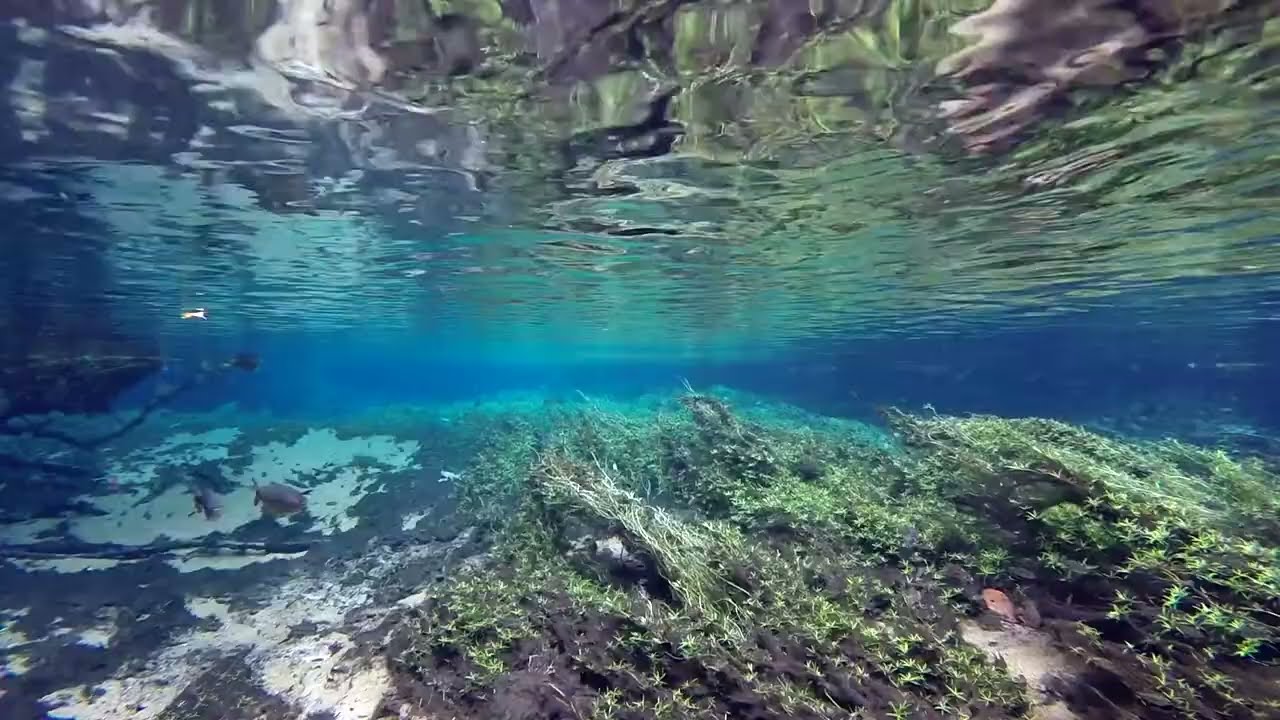 Rio da Prata - karst river system 2