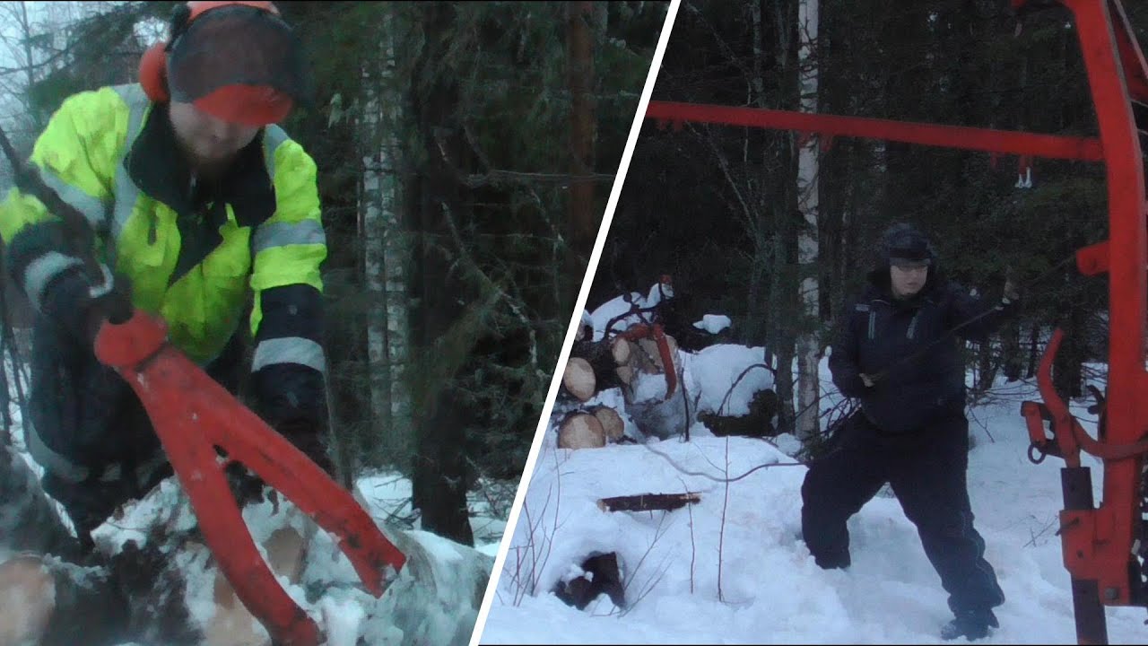Tuulenkaatojen sahaaminen ja vinssaaminen osa 2